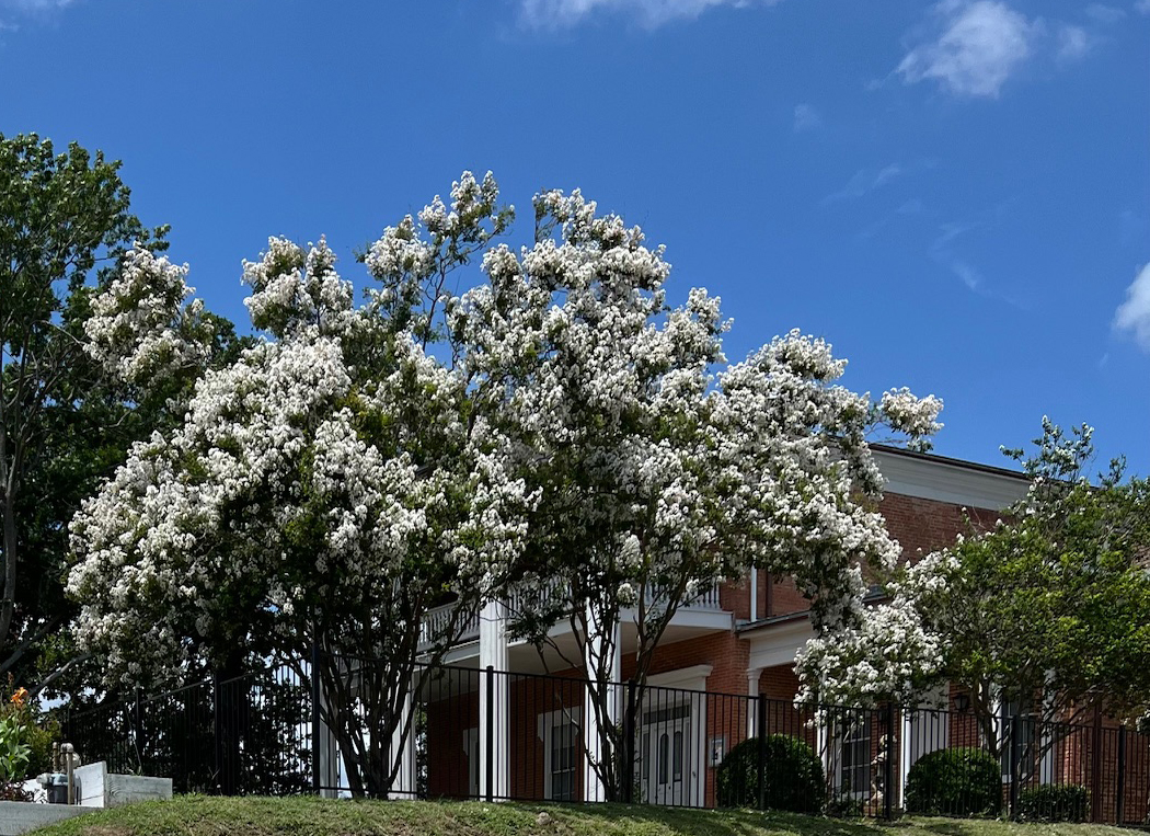 McCullough House Museum